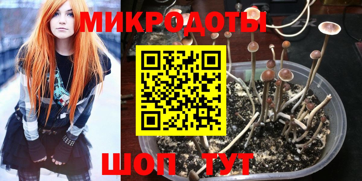 сколько стоит  Псилоцибиновые грибы GOLDEN TEACHER  Вход с VPN  Красногорск  Галлюциногенные грибы мухоморы 